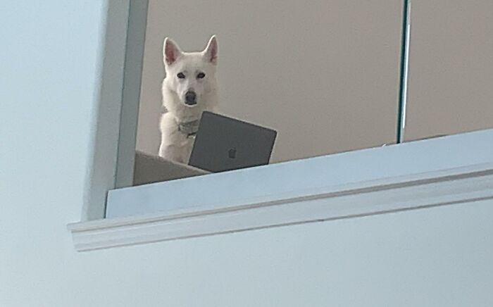 Caught Her Using My Laptop