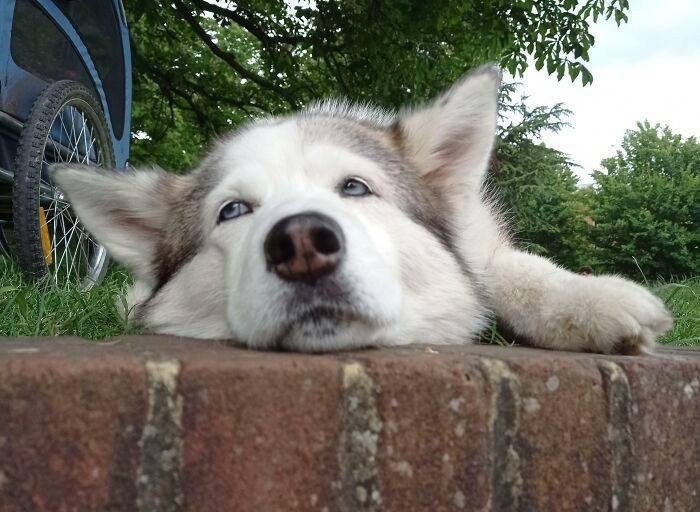 It May Have Took 13 Years, But I Finally Tired Her Out