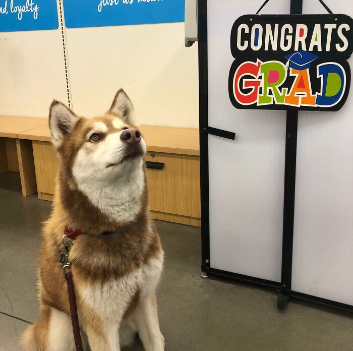 When You Haven’t Learned A Thing But Still Graduate