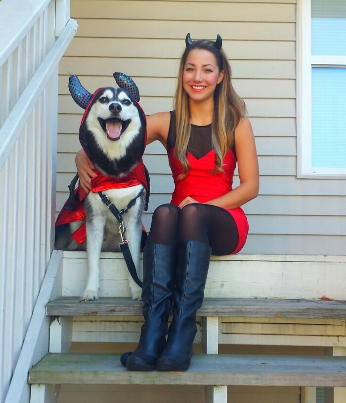 My Husky And I Were In A Halloween Costume Contest Over The Weekend