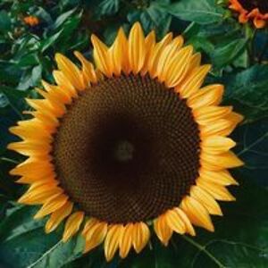 marieslater46 avatar