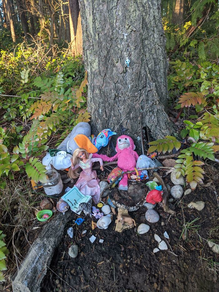 Altar Of Lost Toys In The Woods Near A School