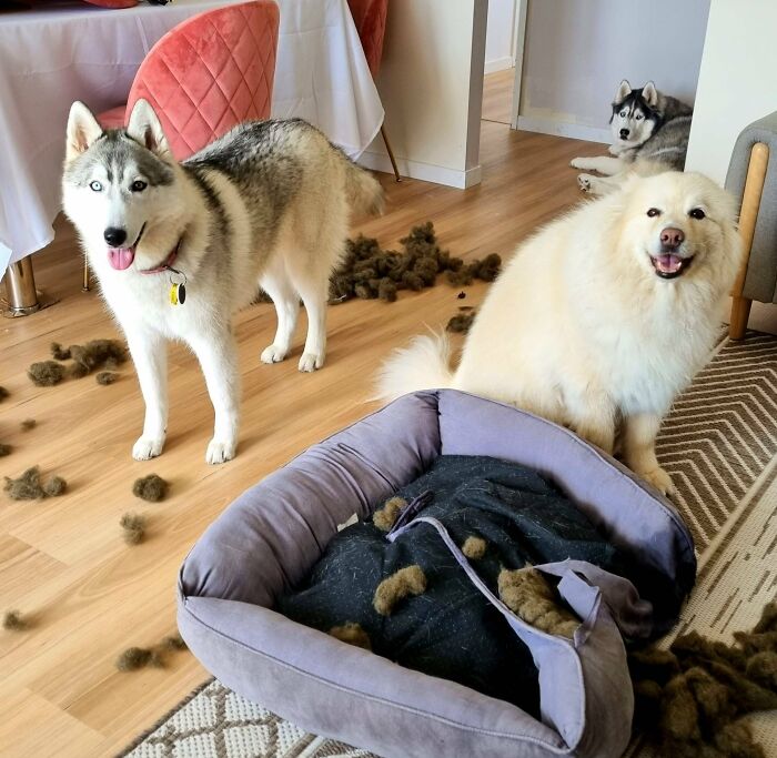 Not A Single Repentant Face To Be Seen