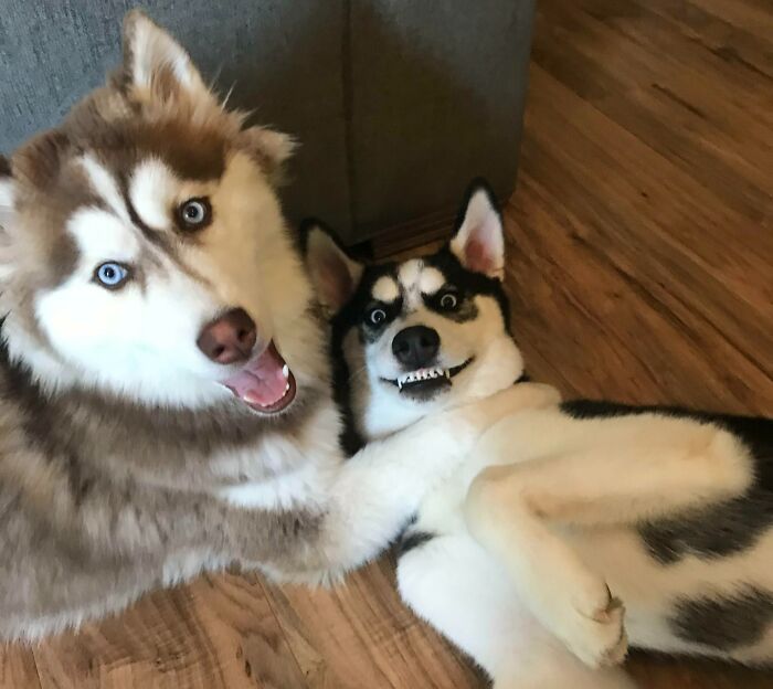 One Is Clearly More Photogenic Than The Other
