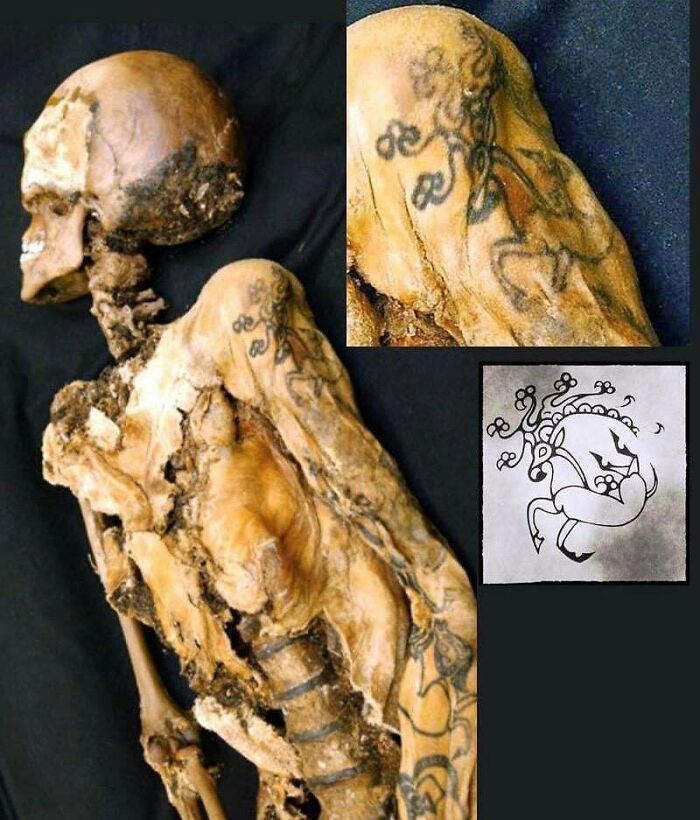 Tatuaje de 2.500 años de antigüedad