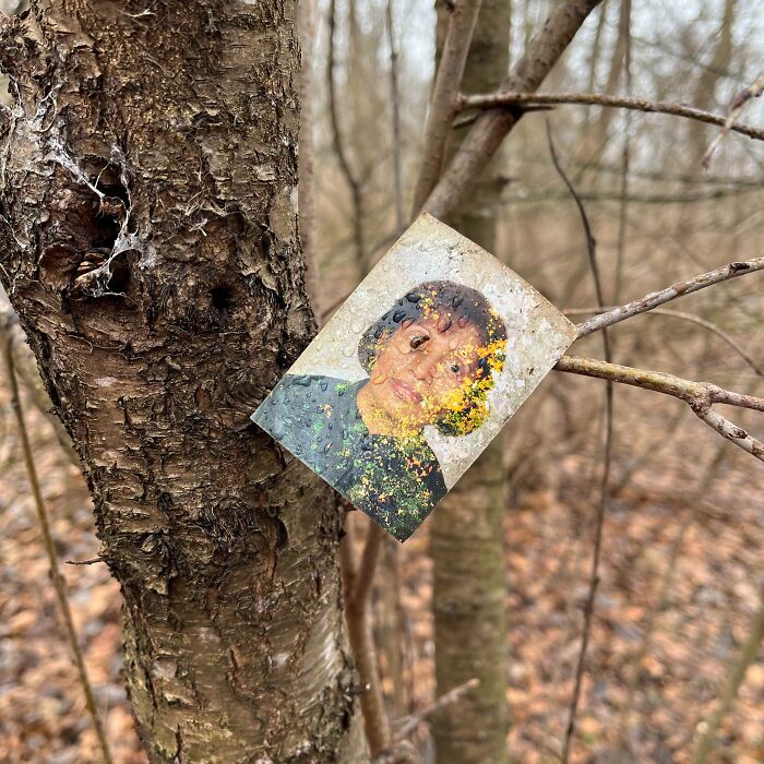 This Photo I Found Impaled In The Woods