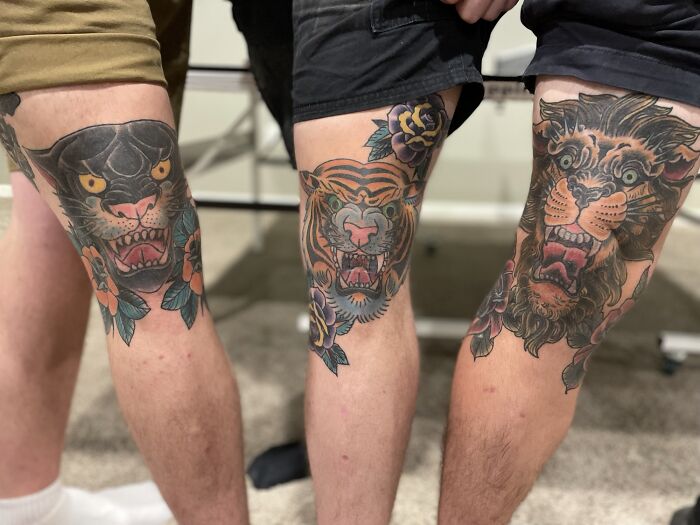 Panthera, tiger and lion with mouths open knee tattoos