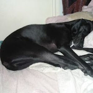 sophieuknavage avatar