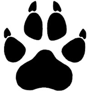 benjaminjerew avatar