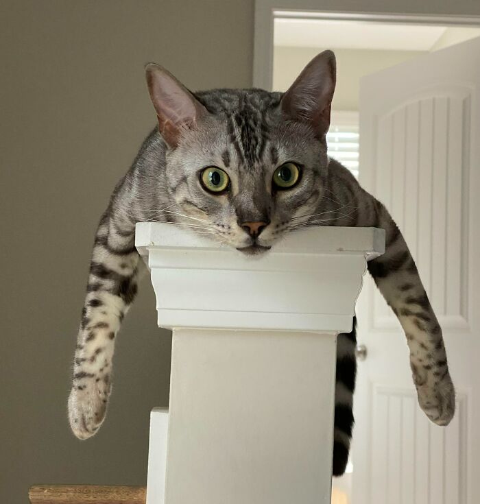 Little Man Hanging Out By The Stairs