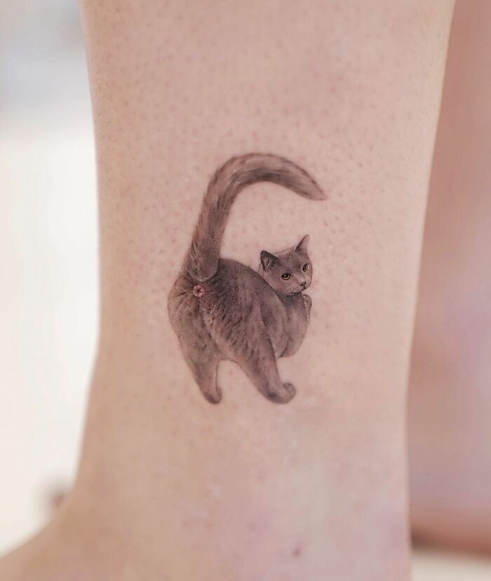 Un tatuaje muy bueno del ano de un gato