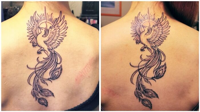 Phoenix Tattoo Before And After Shading