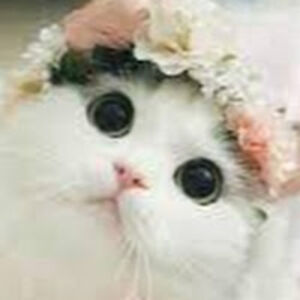 elodietrutsch avatar