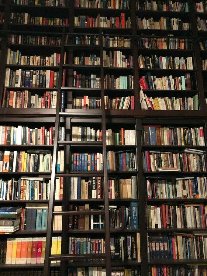 Brown bookshelf with ladder 