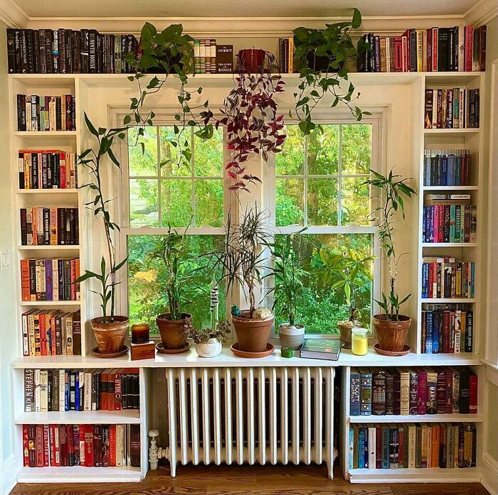 White bookshelf with books and plants 