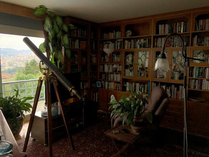 Brown bookshelf with books and plants 