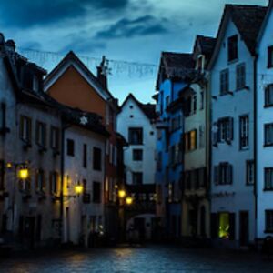 evelyntrenton avatar