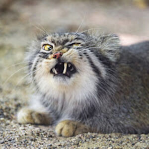 nataliesmith_2 avatar