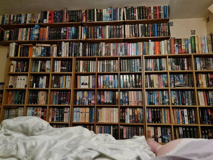 bookshelves filled with books 