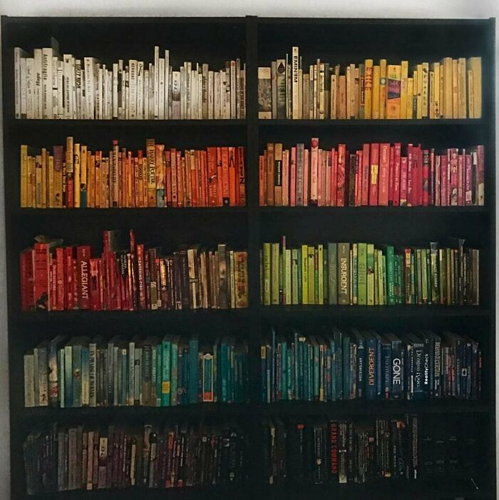 Bookshelf filed with colorful books