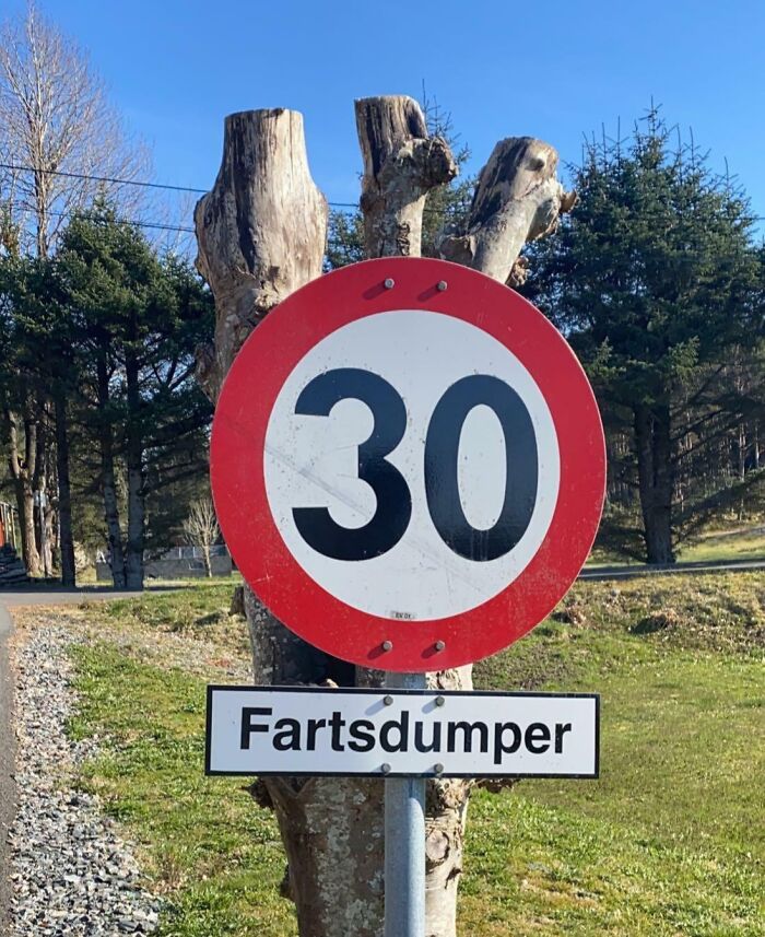 Thought You Might Enjoy This. This Is The Norwegian Word For 'Speed Bumps'