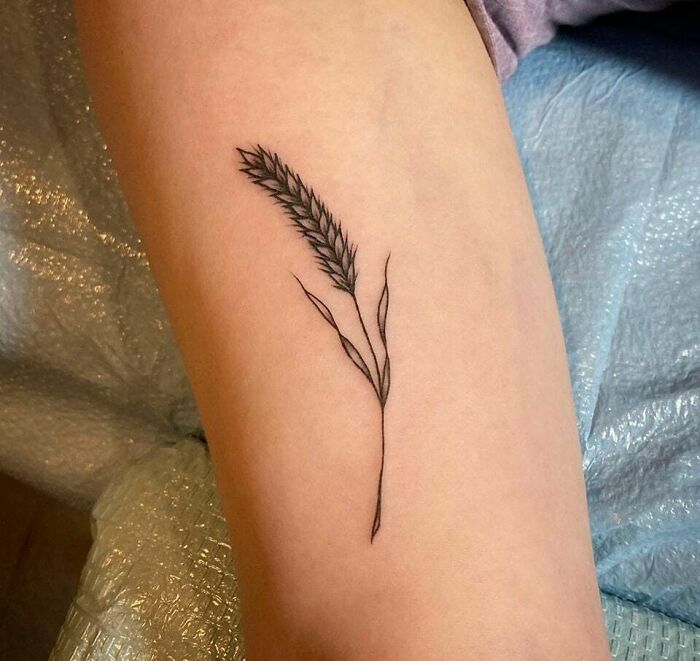 My First Tattoo! A Minimalist Shaft Of Wheat. Done By Claire S. At Spirited Tattoo Coalition In Philadelphia