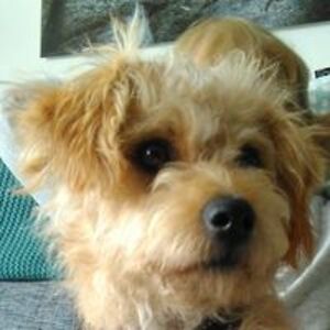 reginevoort_1 avatar