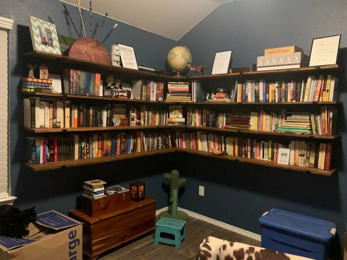 dark blue room with brown bookshelf 