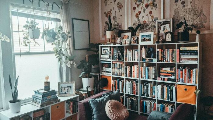 a room with plants and bookshelves