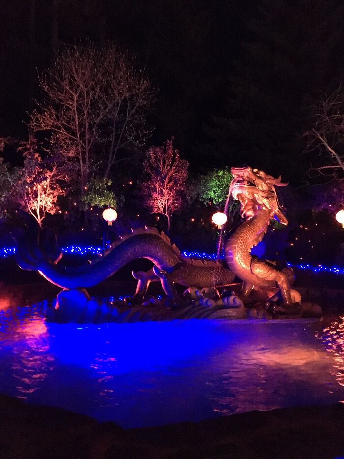 Dragon Fountain At Night