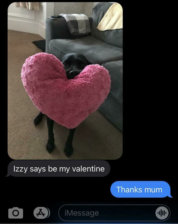 Didn’t Have A Valentine So My Mum Sent Me This