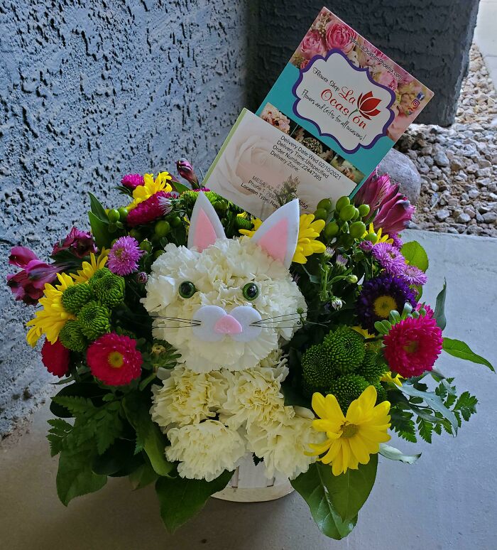 My Parents Sent Me Valentine's Day Flowers In The Shape Of A Cat. I Feel Loved