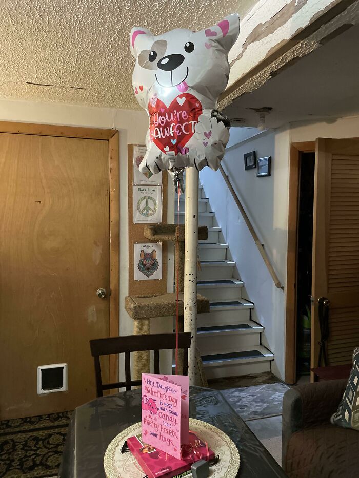 Going Through A Bad Break Up, Moved Back In With My Parents At 25. My Dad Surprised Me This Morning For Valentine’s Day. Yes I Cried