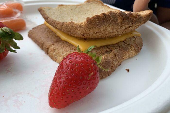 Grilled Cheese For School Lunch (So Delicious)