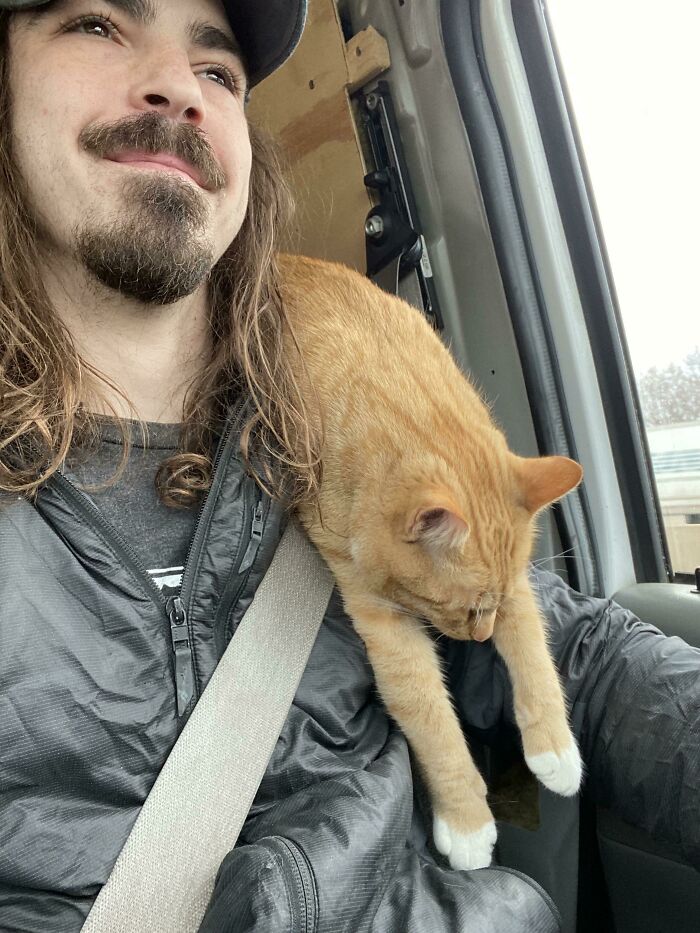 He Was Exhausted After Doing Nothing On Our 15hr Road Trip