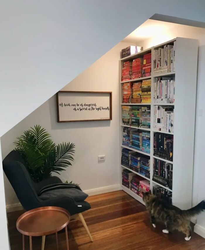 cat walking next to a white bookshelf 