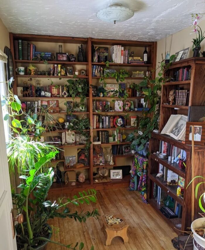 brown bookshelf with plants 