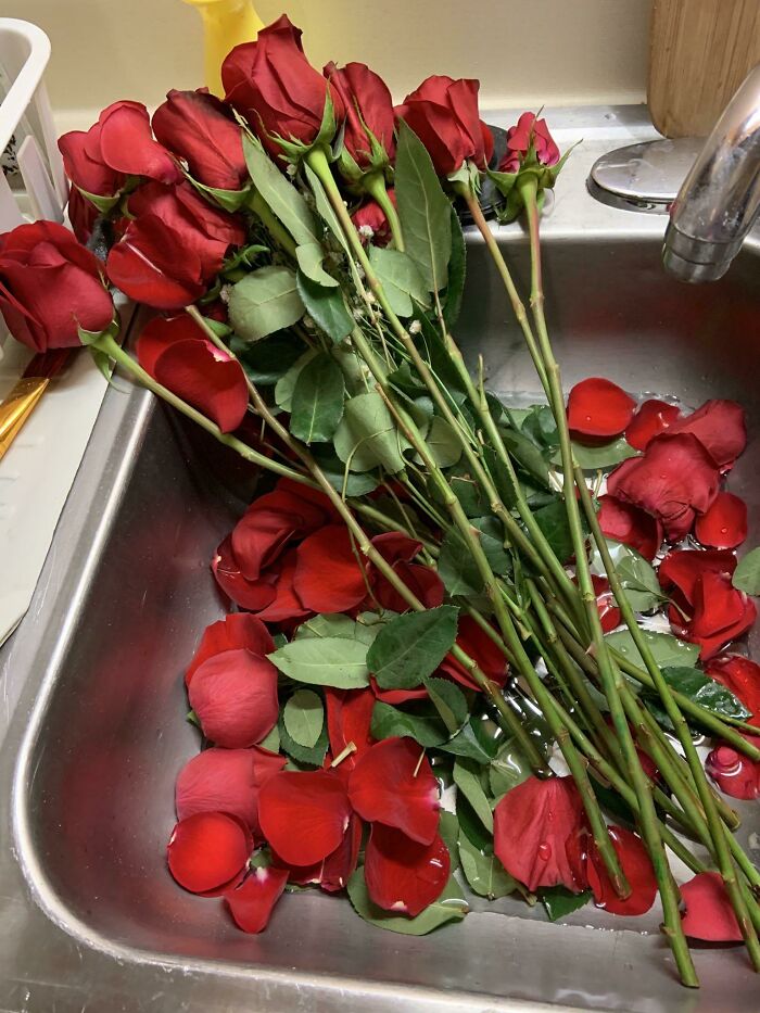 My Dad Bought Roses For My Mom For Valentine’s Day And When He Got Home And Took Off The Wrapper All The Leaves And Petals Just Fell Off. Luckily, He Got His Money Back
