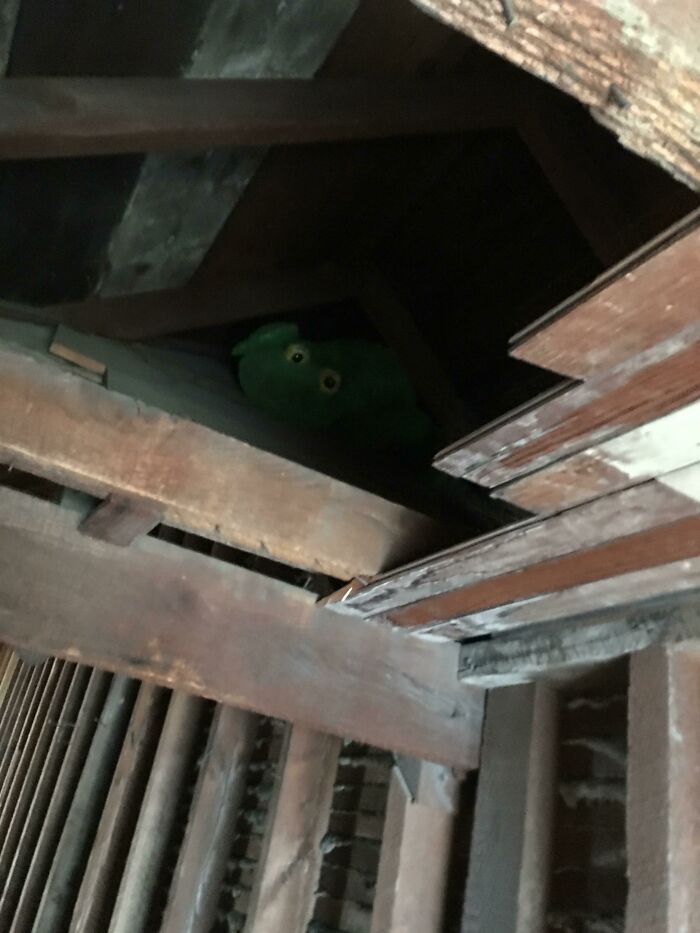 This Weird Stuffed Animal That We Can’t Reach In My Friends Attic