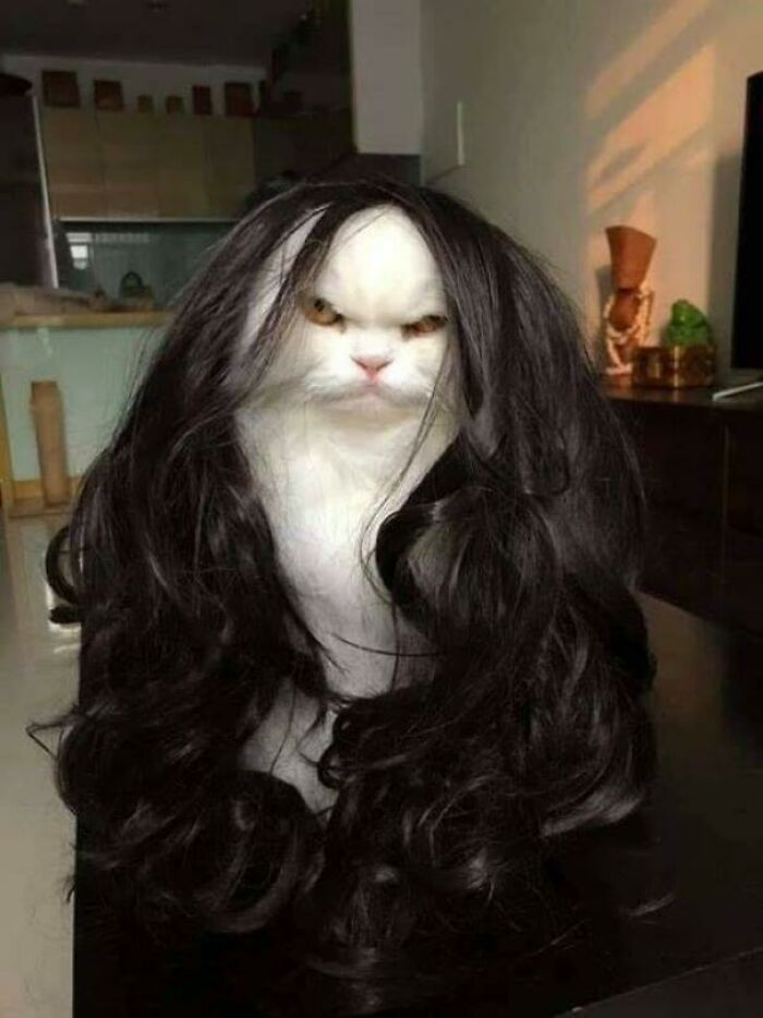 The Cats Remake Looks Terrible