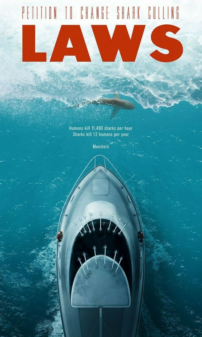 Shark Culling Laws Poster