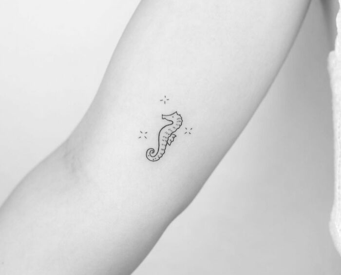 Minimalistic seahorse tattoo