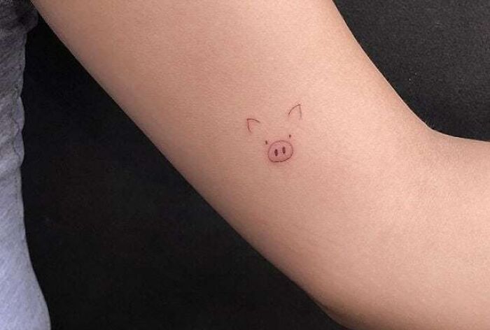 Minimalistic pig tattoo