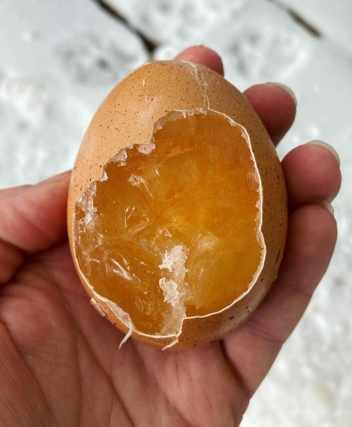 This Winter Storm System Is Testing Us In Many Ways. Here’s The Inside Of A Frozen Chicken Egg