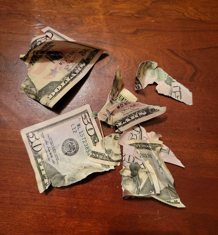 Dog Ate My Money