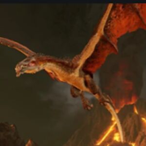 austinhostutler avatar