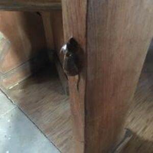 polly_sobreperez avatar