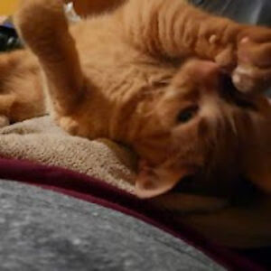 christinastaab avatar