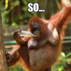 boywonderahboy avatar