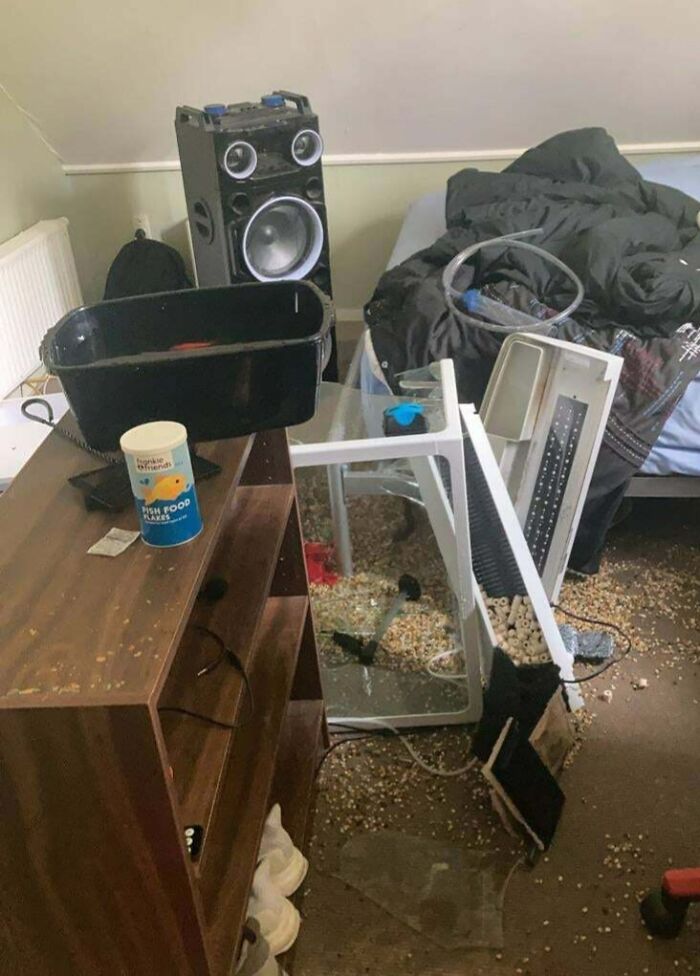 My 600-Dollar Fish Tank Fell Over And Smashed